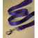 Hamilton Pet Products Single Thick Nylon Lead with Snap in Purple