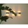 Oluce Line 11.8" Wall Lamp