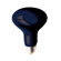 Bulbrite Industries 75W R25 Reflector Bulb in Black