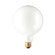Bulbrite Industries G40 Globe Medium Base Incandescent Bulb