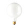 Bulbrite Industries G40 Medium Base Globe Light Incandescent Bulb