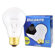 Bulbrite Industries 60W Long Life General Service Standard A19 Incandescent Bulb in Clear (Pack of 2)