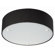 Philips Forecast Lighting Basal 2 Light Ceiling Lamp