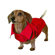 Scooter's Friends Inc All-Weather Trench Dog Raincoat in Red