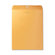 Business Source Clasp Envelopes, 28 lbs, 10"x13", 100 per Box, Brown Kraft