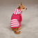 East Side Collection Brite Stripe Dog Pullover Sweatshirt