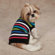 East Side Collection Electric Knit Dog Sweater