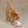 Grriggles Funny Farm Dog Toy