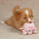 Grriggles Funny Farm Dog Toy