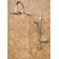 Pulse Showerspas Aqua Rain Diverter Complete Shower System