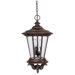 Madison Three Light Outdoor Hanging Lantern in Tortoise