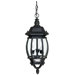 French Country Three Light Outdoor Hanging Lantern in Black