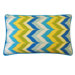 Dripping Paint Polyester Pillow