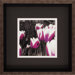 Tulips I / II Wall Art (Set of 2)