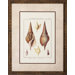 Rostellaire / Pyrule Wall Art (Set of 2)