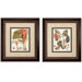Botanical II and IV Framed Print Set