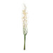 Natural Bouquet
