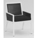 Parkview Woven Dining Arm Chair with Cushion