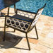 Parkview Cast Dining Arm Chair with Cushion
