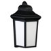 23W One Light Outdoor Wall Lantern in Black