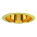 6" Specular with Polished Brass Trim Ring
