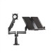 Height-Adjustable Monitor / Laptop Dual Swing Arm Desk Mount