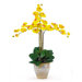Triple Phalaenopsis Silk Orchid Arrangement in Yellow