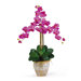 Triple Phalaenopsis Silk Orchid Arrangement in Orchid