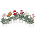 Ranunculus Flower with White Vase (Set of 6)