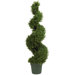 Rosemary Spiral Tree in Green