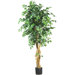 72" Silk Palace Style Ficus Tree