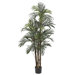 Silk Robellini Palm Tree in Green