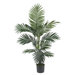 Silk Kentia Palm Tree in Green