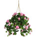 Pink Silk Geranium Plant with Hanging Basket