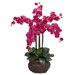 Phalaenopsis with Decorative Vase Silk Flower Arrangement in Beauty