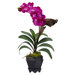 Vanda with Black Hexagon Vase Silk Arrangement in Beauty