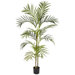 4.5' Areca Palm Silk Tree