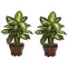 Dieffenbachia in Gold with Wood Vase Silk Plant (Set of 2)