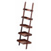 Vintage Library Ladder Leaning Shelf