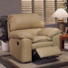 Catera Leather Recliner