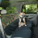 Dog Harness with Tether
