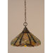 1 Light Downlight Pendant