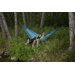 Roatan Fabric Hammock