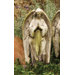 Angels Prayer of Angel Prayer Hands Statue