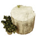 Furniture Scallop Shell Outdoor Seat
