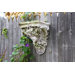 Vendemmia Wall Planter