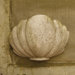 Herley Shell Sconce Wall Decor