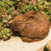 Animals Pet Bunny Statue