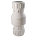 2" Check Valve
