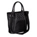 Vino Insulated Fashion Lunch Tote